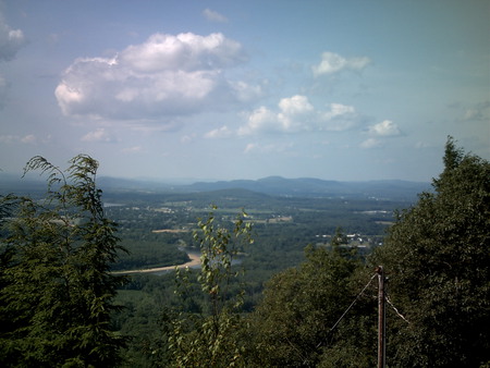 trees - view, valley, trees, sweet, look