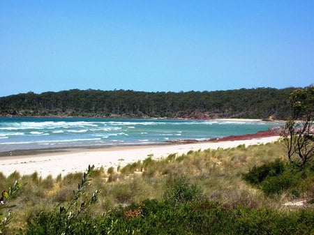 Peace and Quiet at Pambula - sand, surf, coastline, beach, ocean, waves