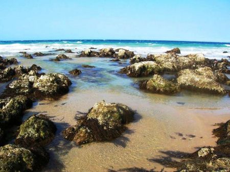 Meditative Beauty - rockpools, surf, beach, seaweed, sand, clear water