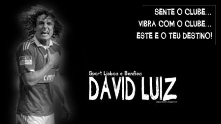 David Luiz - luiz, david, slb, benfica, portugal