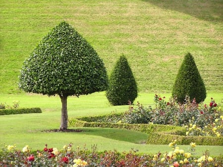 Green Dream - nature, green, tree, paradise