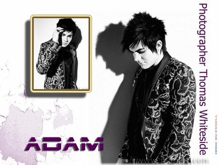 adam lambert - music, hot, adam lambert, red, cute, cool, sexy