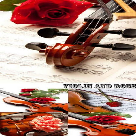 violin and rose - tomance, collage, melody, red, violin, rose