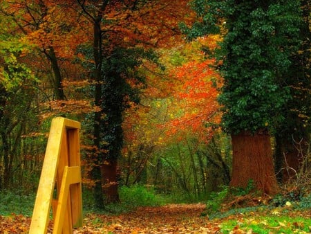 Colors of Autumn - picture, colors, autumn, beautiful