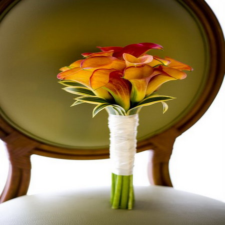 cala lily - chair, lily, orange, cala, bouquet