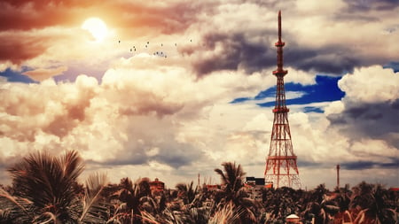 different view - coconut, canon, blue, tower, tree, sun, sky