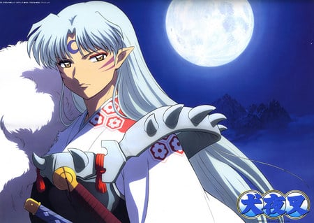 Sesshomaru from Inuyasha - anime, night, inuyasha, sesshomaru