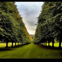 Stormont-Ireland-in-Summer