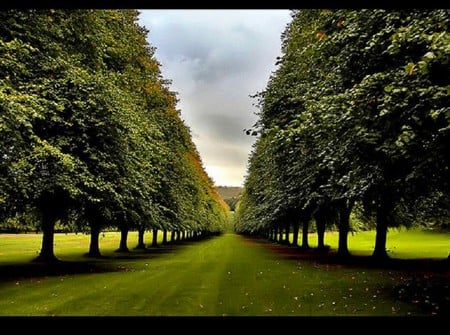 Stormont-Ireland-in-Summer - picture, ireland, cool, stormont, summer