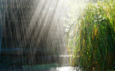 Rain - abstract, raindrops, photography, rain