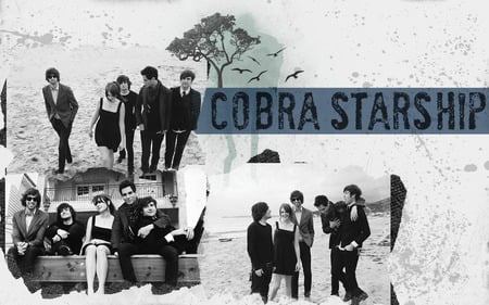 Cobra Starship - bands, music, black and white, cobra starship, alternative