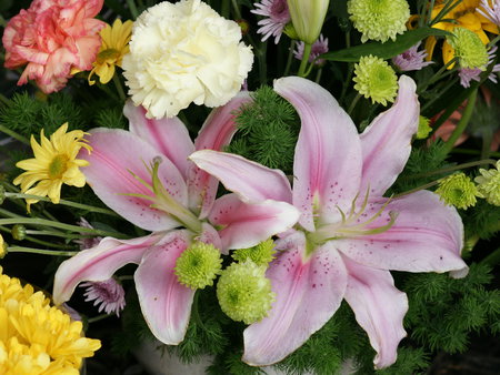 Lilies - flowers, lilies, bouquet, pink