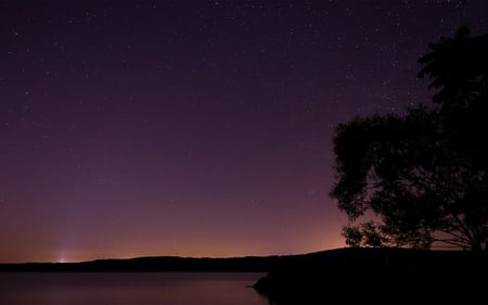 Moraine Nights - hills, lake, dusk, night, stars, tree, sky