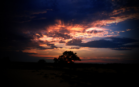 Over the Great Dune - valley, sunset, trees, clouds