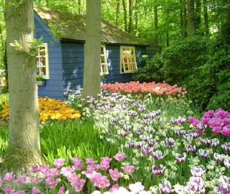 PARADISE - flowers, trees, green, forest, cottage