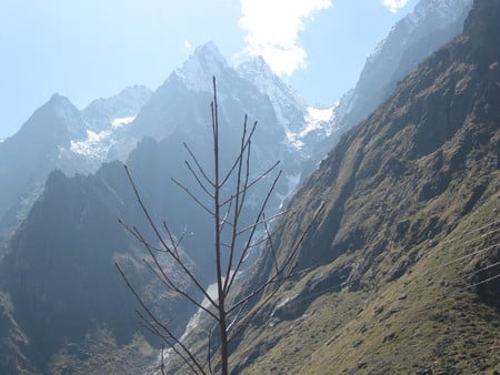 himalaya - ice, mountain, cloud, dry plant, blue sky