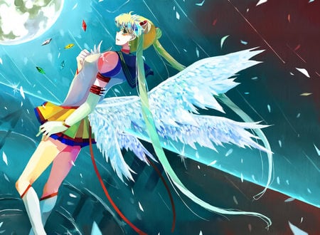 The moon and the princess - moon, sailors, anime, manga, sailor moon