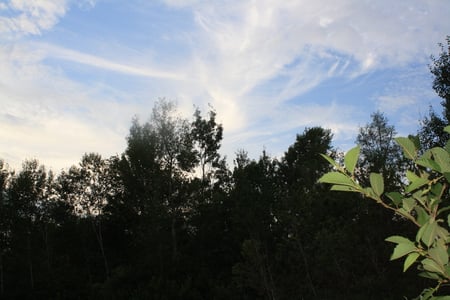 Clouds - nature, sky, blue, clouds