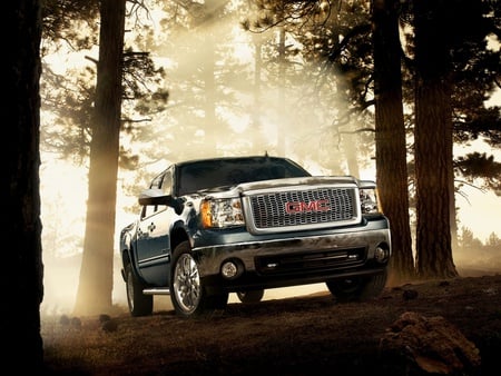 GMC Sierra - sierra, woods, gmc, truck