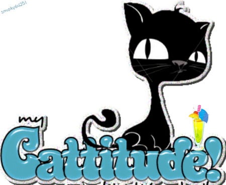 My Cattitude - drink, animals, cats, feline, attitude, black, cattitude