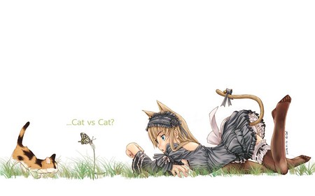 Cat fight - butterfly, female, cat, nyun, anime, simple