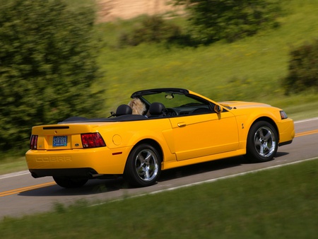 SVT Mustang - ford, mustang, svt, car