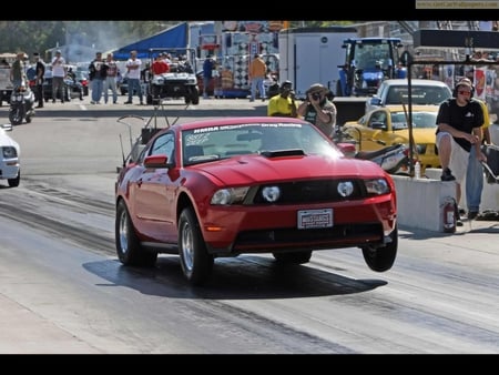 Mustang - ford, mustang, car, drag