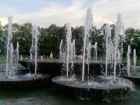 Fountain - fountain, water, nature, wood