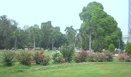 Garden - nature, jinnah garden, flowers, garden