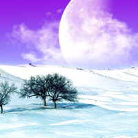 Winter Fantasy Landscape