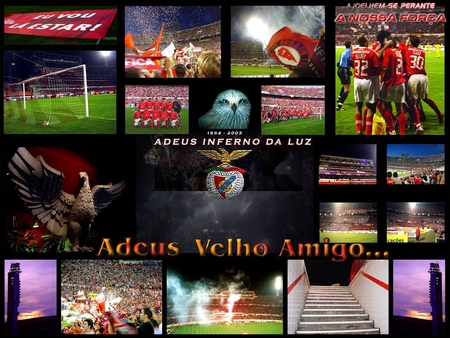 Estadio da Luz - portugal, estadio, benfica, luz, slb, stadium