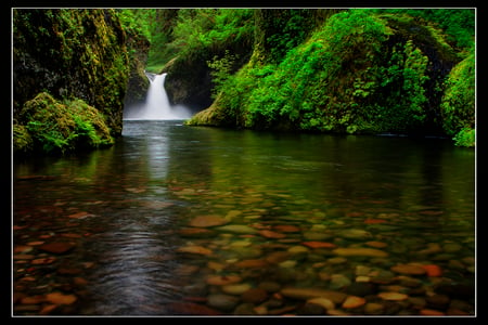 Inviting - river, water, green, oregon