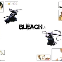 anime-group: Bleach