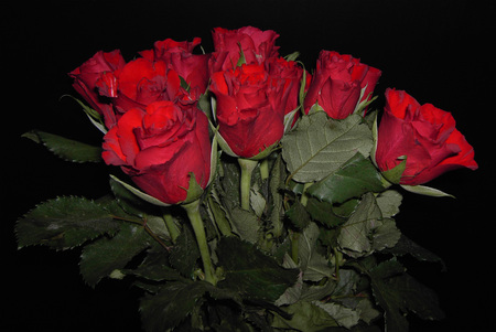 Night Roses - roses, flowers, red rose, bouquet