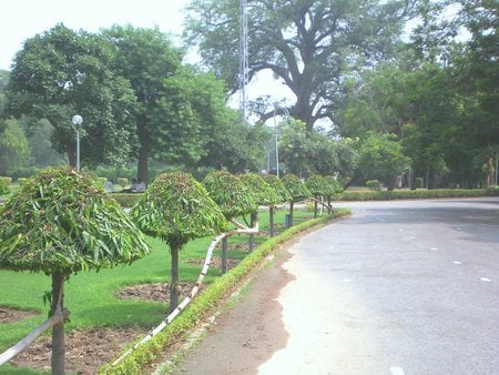 Garden - flowers, nature, garden, jinnah garden, lahore