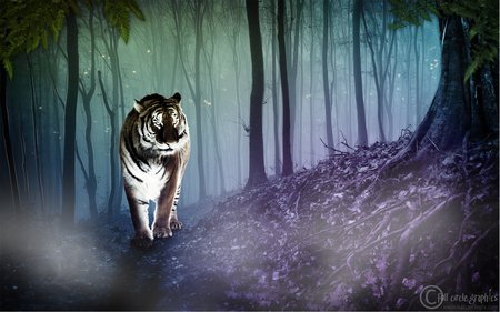 Mighty Jungle - hill, jungle, fog, fantasy, tiger, cg