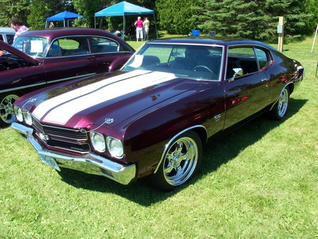 1970 Chevelle SS 396 - car, classic, muscle, chevelle, chevy