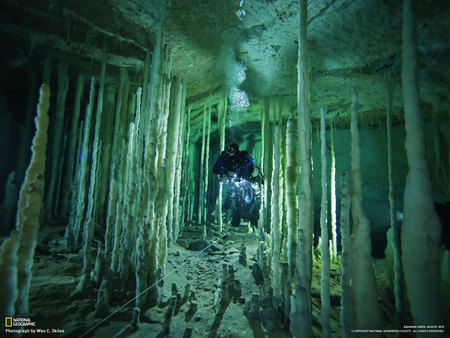 Underwater - water, explore, sea, under