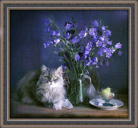 Special place - grey, cat, pear, shelf, resting, purple flowers, vase