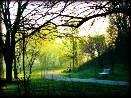 Corner of the road - corner, sunlight, road, bench, forest, country