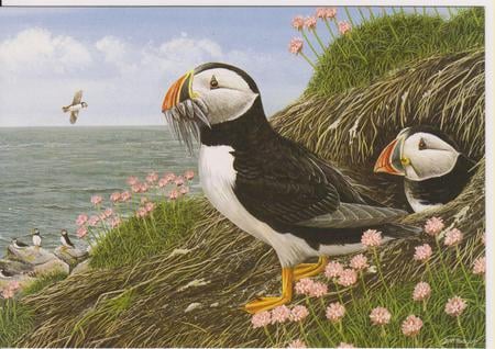 Puffins - endearing, puffins, brave, amusing, flowers, grass, sea, cliffs