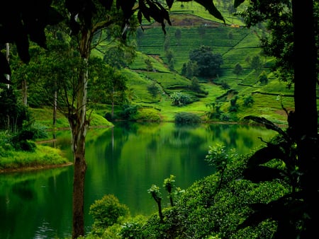 Hills - scenery, water, green, hills