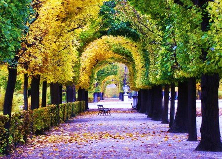 Fall n arches - fall, trees, sidewalk, arches, bench