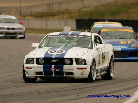 2005 Mustang Racer - ford, mustang, race, car