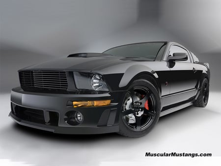 2009 BlackJack Mustang - black, ford, car, mustang