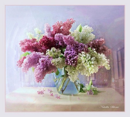 Lilac trio - vase, white, lavender, arrangement, table, lilacs, pink