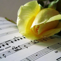 For you a song and a rose