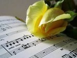 For you a song and a rose