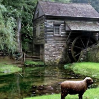 Water Mill