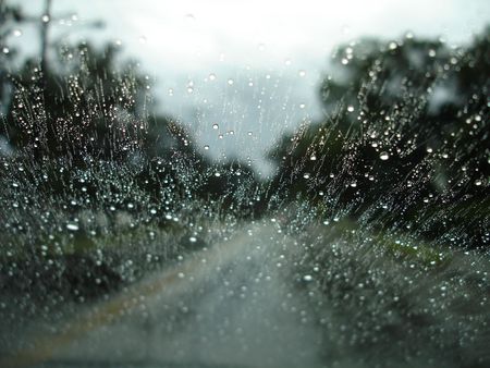 Rainy Day - window, glass, trees, raindrops, rainy